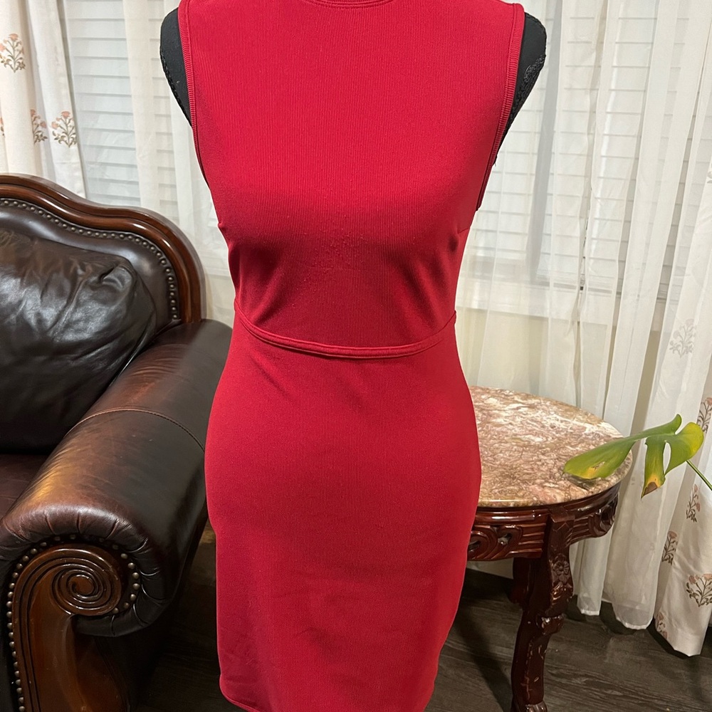 Express Sleeveless Red Midi Dress